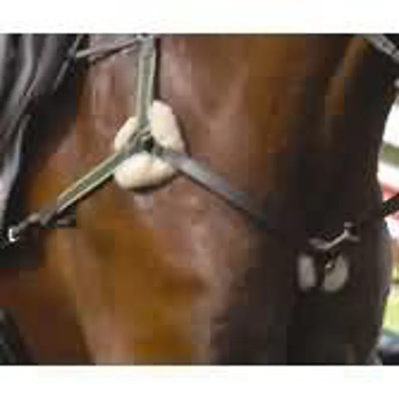 Dever 5 Point Breastplate 