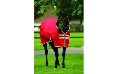 Horseware Amigo Summer Sheet