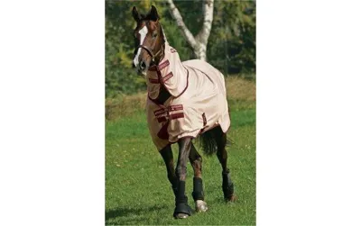 Amigo Mio Fly Rug