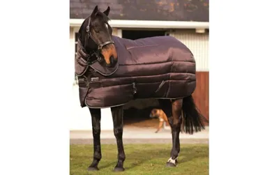 Horseware Amigo Insulator Stable Rug