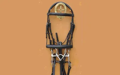 Barnsby Pony Sized Padded Head Weymouth Bridle