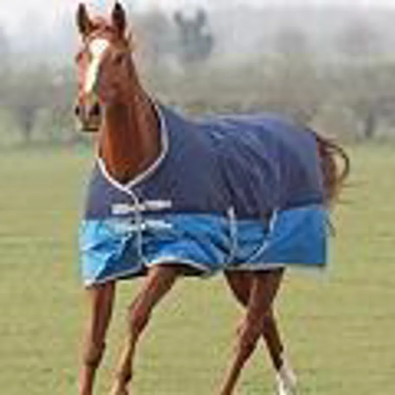 Bridleway Ontario Turnout Rug