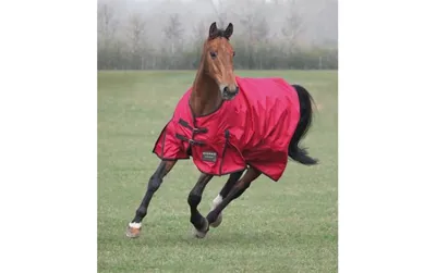 Bridleway Summer Turnout Rug