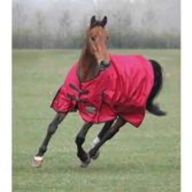 Bridleway Summer Turnout Rug