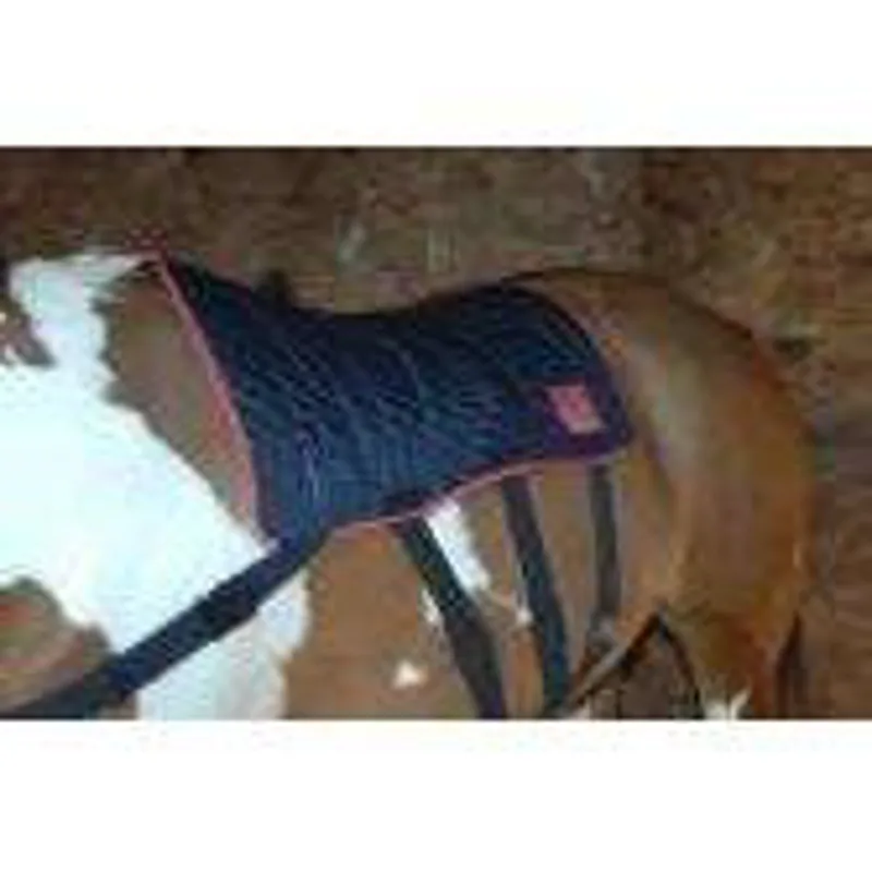 Equilibrium Therapy Magnetic Back Pad