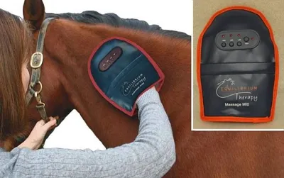 Equilibrium Massage Mitt