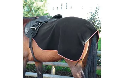 Bridleway Fleece Exercise Sheet