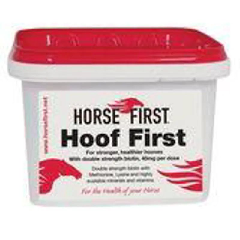Horse First Hoof First