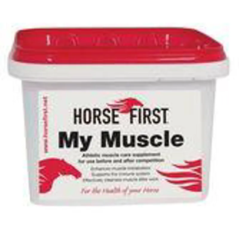 Horse First My Muscle
