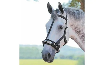 Bridleway Lunge Cavesson