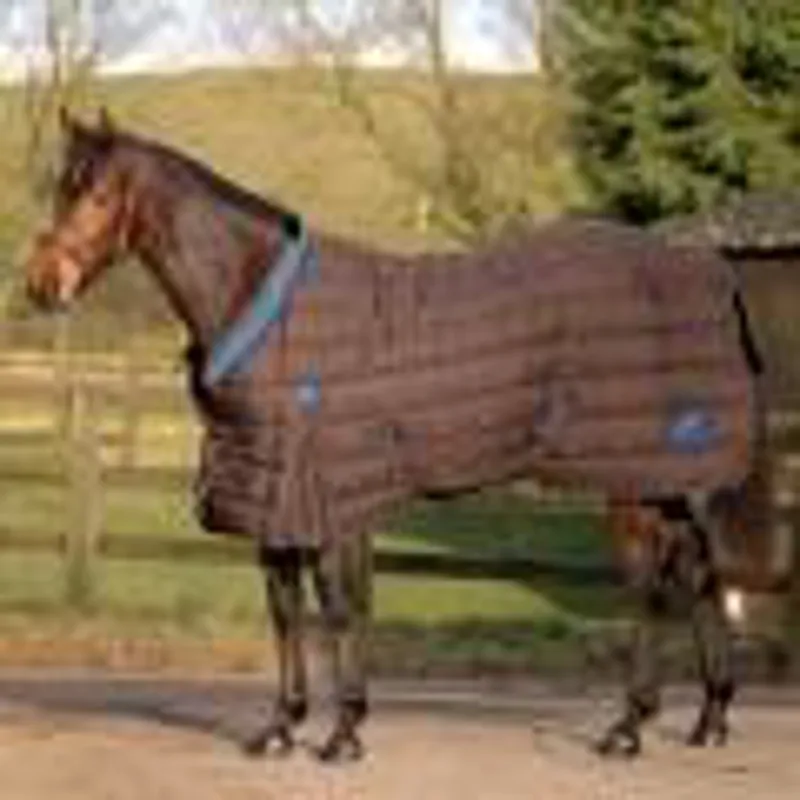 Masta Regal Jacquard Stable Rug
