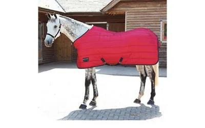Bridleway Montreal Stable Rug 200gm