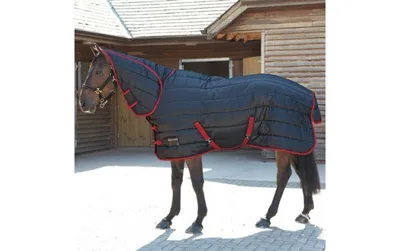 Bridleway Quebec Heavyweight Stable Rug Combo