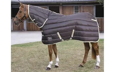 Shires Tempest stable combo 350