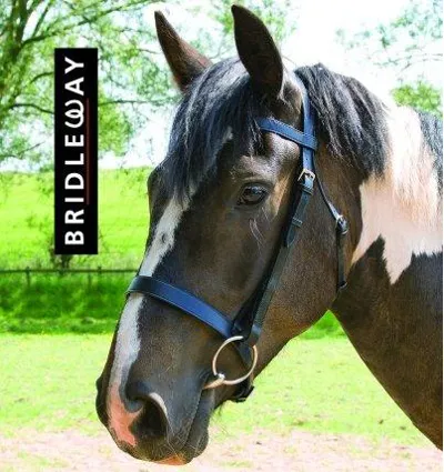 Bridleway Snaffle Bridle