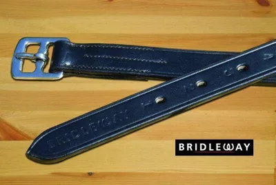 Bridleway Economy Stirrup Leathers
