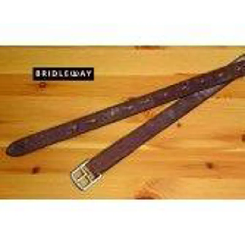 Bridleway Economy Stirrup Leathers