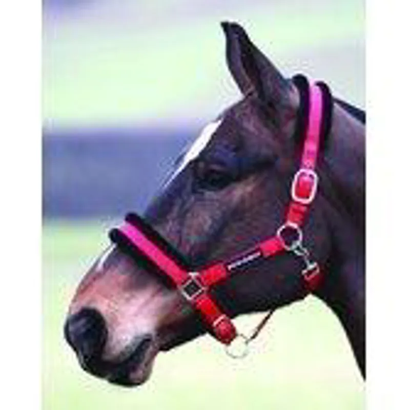 Bridleway Fleece Lined Headcollar