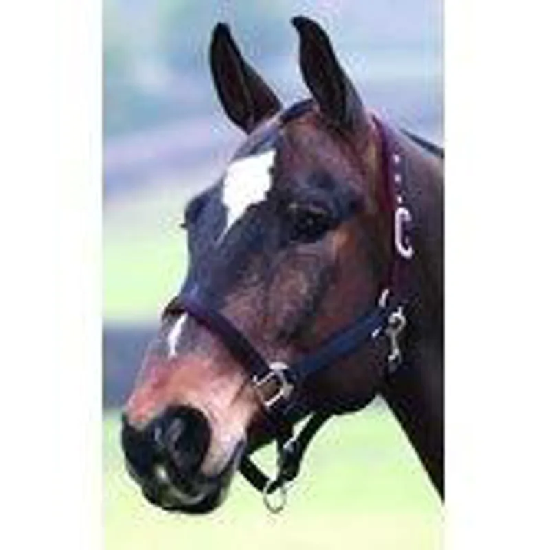 Bridleway Clarino Lined Headcollar