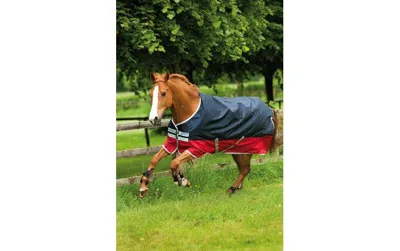 Horseware Amigo Mio Turnout Mediumweight 600D