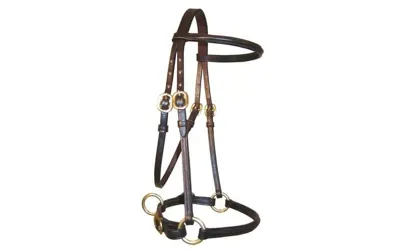 Ascot Filly Slip