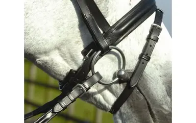 Ascot Dressage Bridle