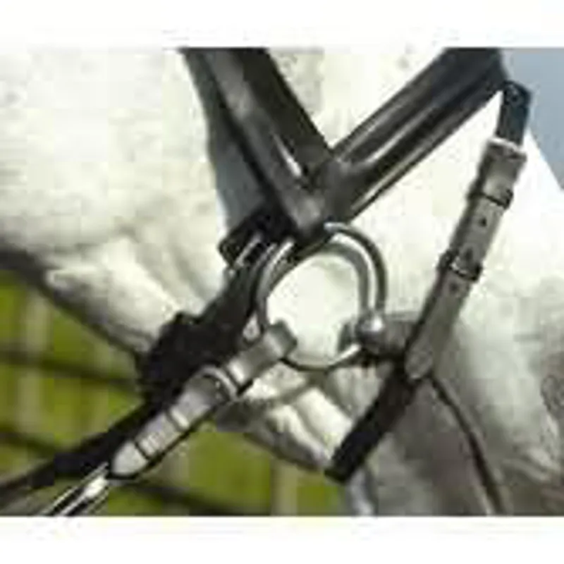 Ascot Dressage Bridle 