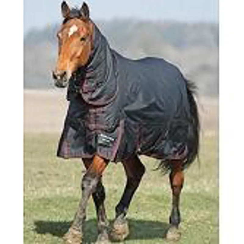 Bridleway Whistler Mediumweight Combo Turnout