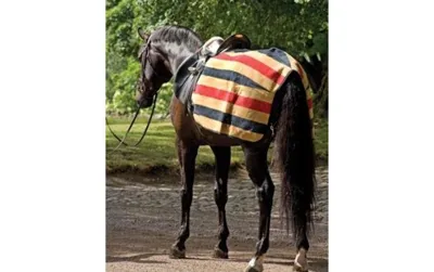 Horseware Newmarket Exercise Sheet