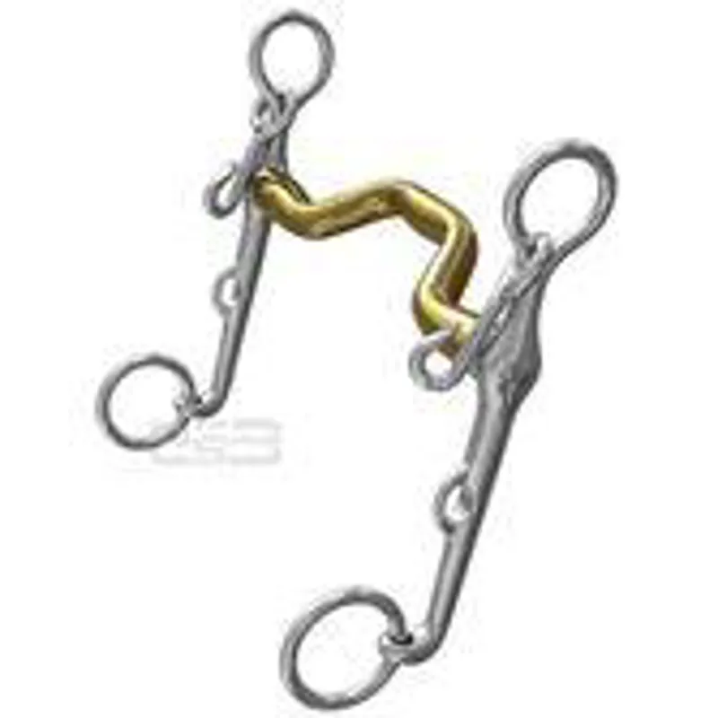 Neue Schule Dressage Warmblood Weymouth