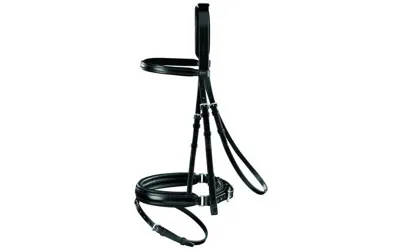 Passier Aquarius Crank Flash Bridle with Eventa Reins