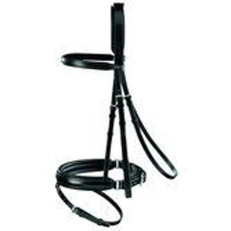 Passier Aquarius Crank Flash Bridle with Eventa Reins