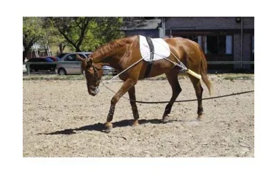 Pessoa Training Aid