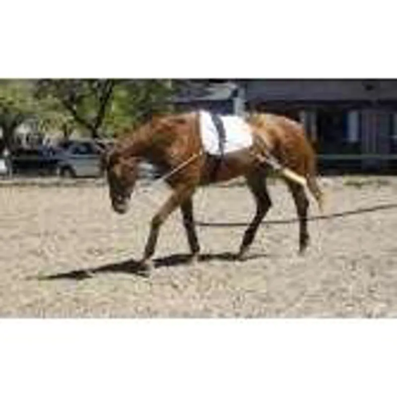 Pessoa Training Aid