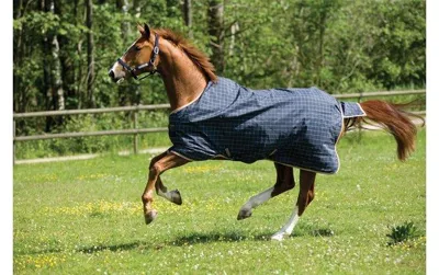 Horseware Rhino Original Turnout Lite