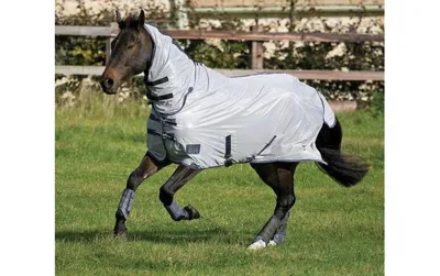 Tempest Fly Rug