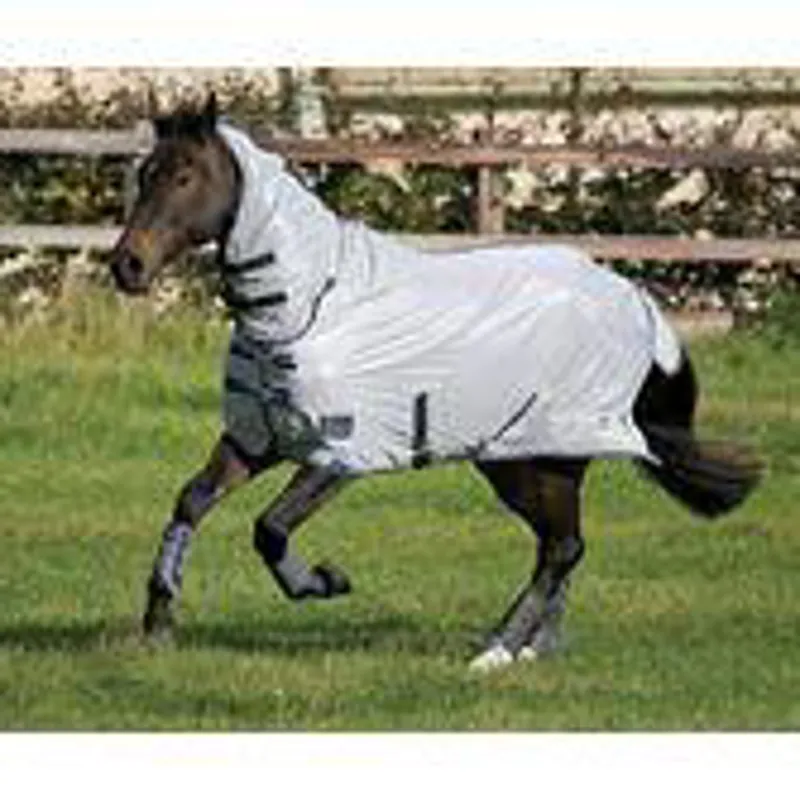 Tempest Fly Rug