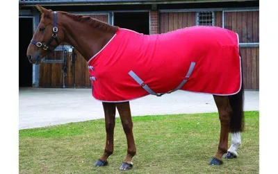 Cheltenham Summer Sheet