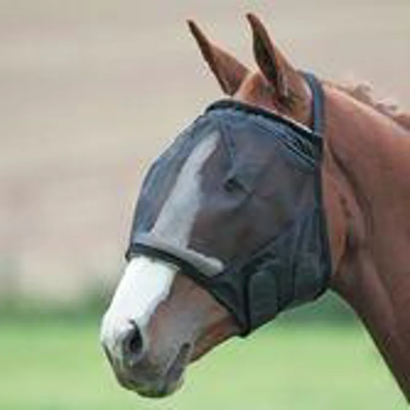 Fine Mesh Earless Fly Veil