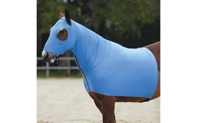 Full Face Stretch Hood