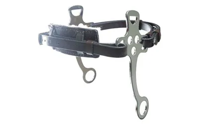 English Hackamore