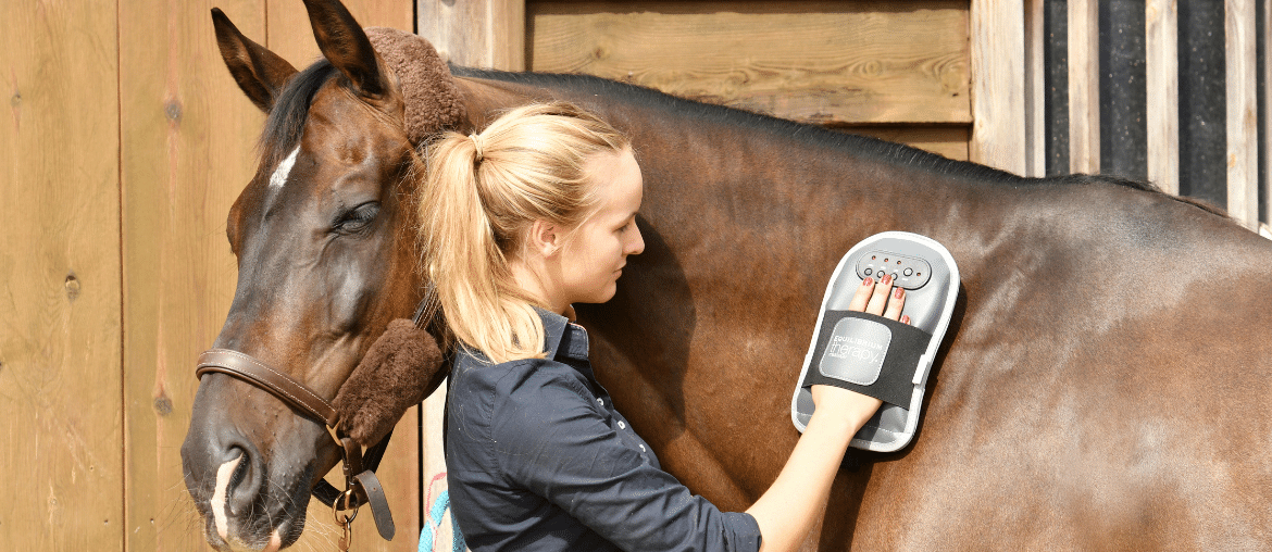 Equilibrium Massage Mitt