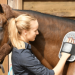 Equilibrium Massage Mitt