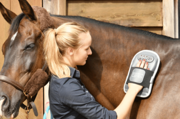 Equilibrium Massage Mitt