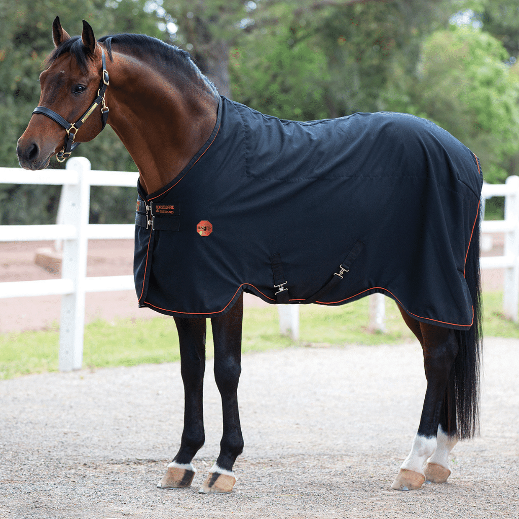 Rambo Ionic Stable Sheet