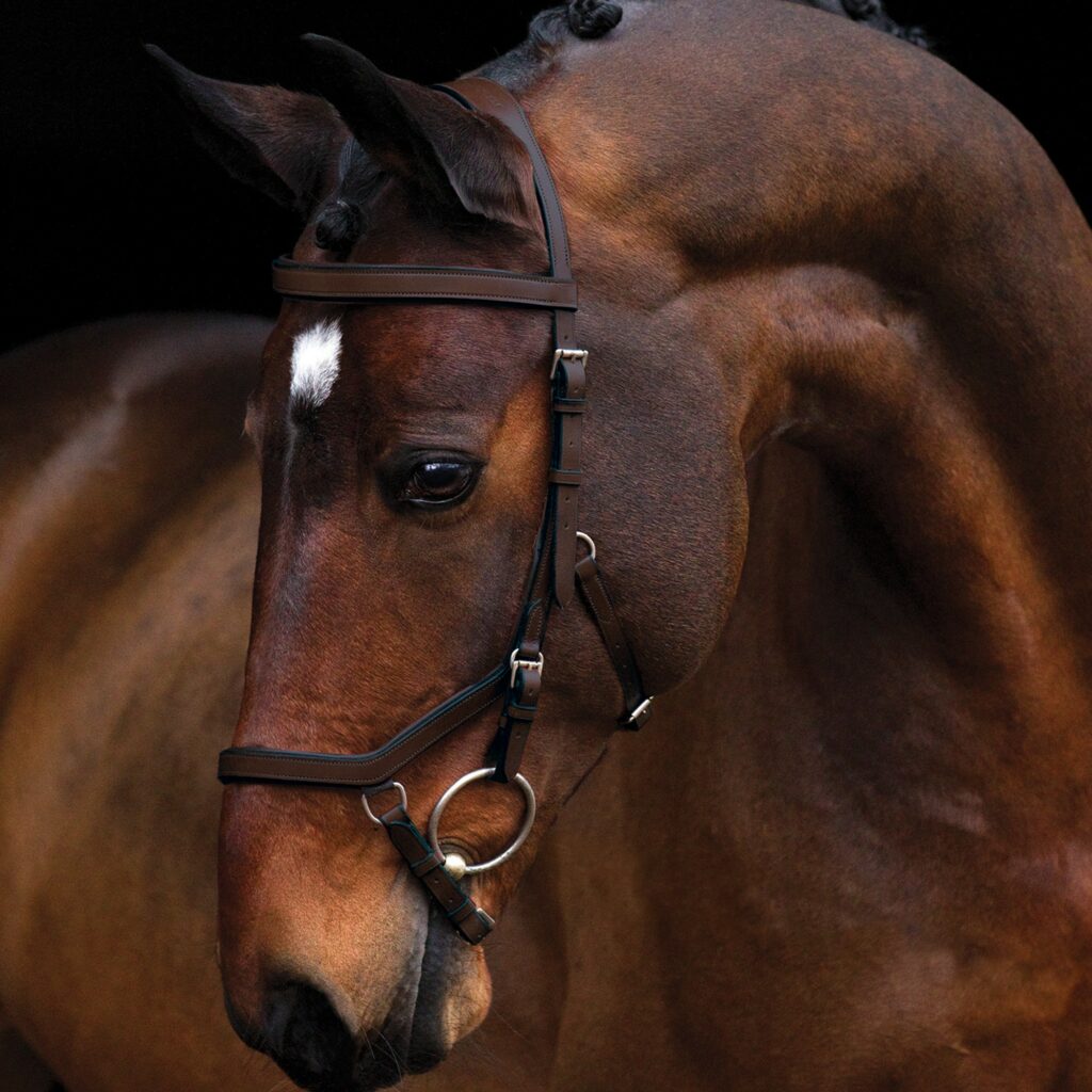 Shop now the Rambo Micklem Bridle from RB Equestrian