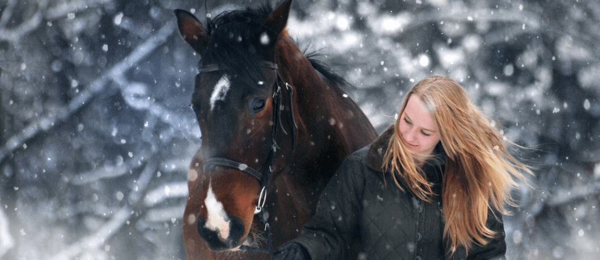 Horse in snow