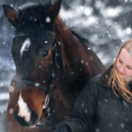 Horse in snow