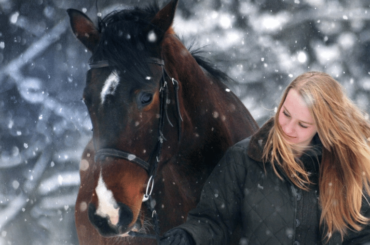 Horse in snow