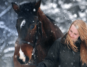 Horse in snow